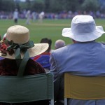 Couple watching cricket