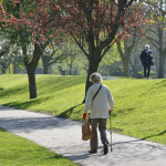 Strolling along the canal bank